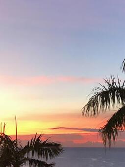 夕焼け1 夕焼け1の写真