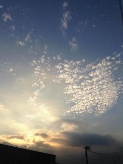 うろこ雲 うろこ雲の写真