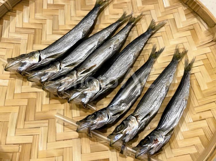 うるめいわし丸干し４ うるめいわし,丸干し,うるめの写真素材