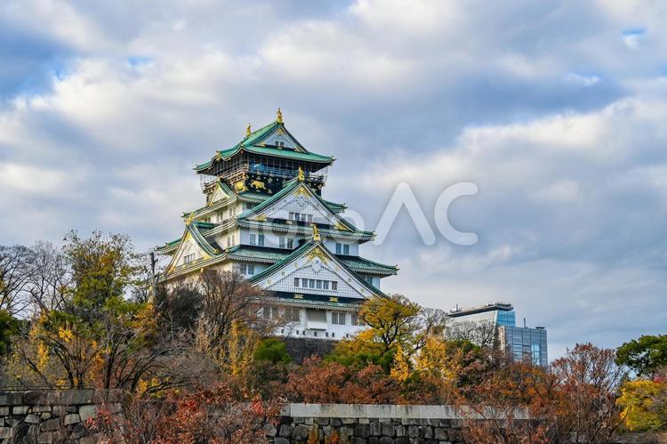 大阪城と自然風景 大阪城,城,公園の写真素材