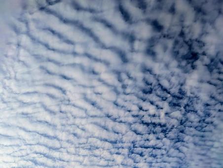美しい青空と波状のうろこ雲のテクスチャ 美しい青空と波状のうろこ雲のテクスチャ うろこ雲,鱗雲,ひつじ雲の写真素材