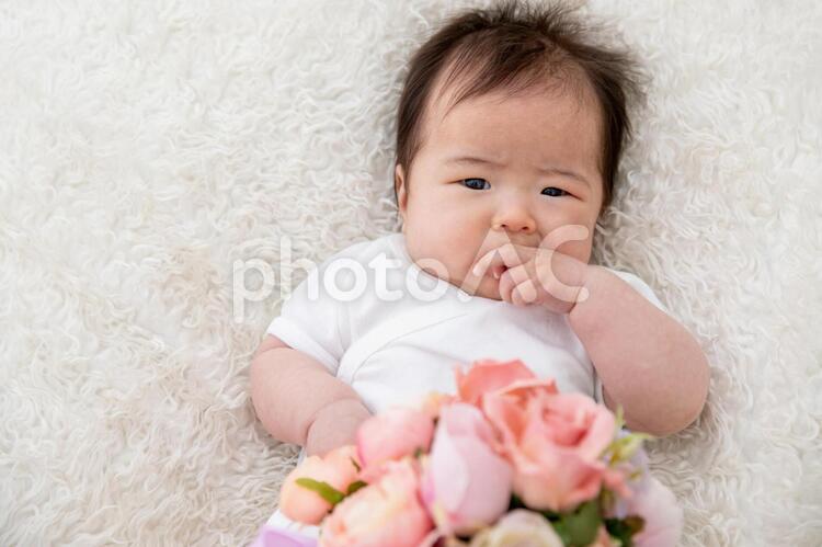 赤ちゃんのイメージ 赤ちゃん,花束,ブーケの写真素材