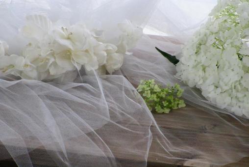 ウエディングベールとアナベル ウエディングベールとアナベル 結婚式のイメージ,ジューンブライド,ウエディングベールの写真素材