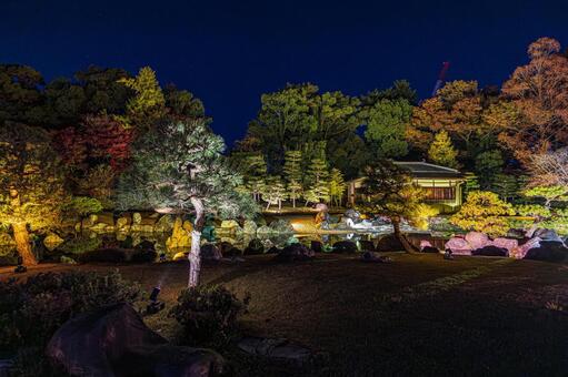 紅葉風景 紅葉風景,京都,二条城の写真素材