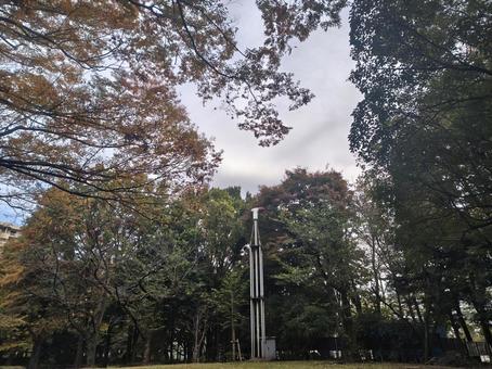 夏の雲公園の秋 練馬区,光が丘,夏の雲公園の写真素材