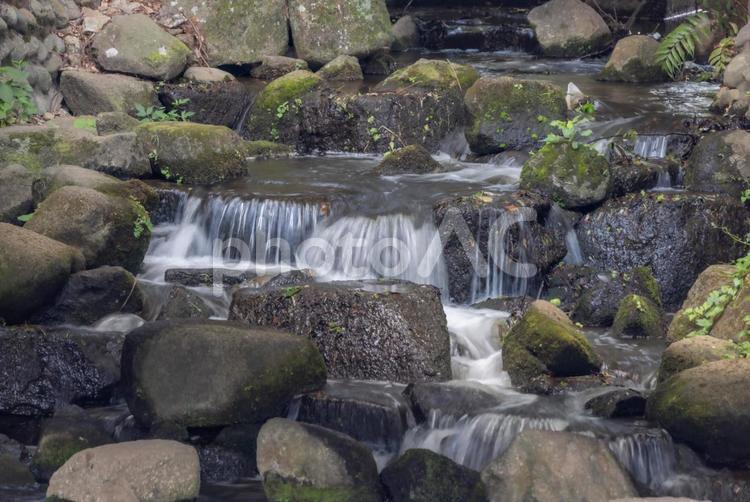 小さな川の水の流れ 川,水,流れの写真素材