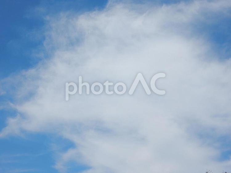 【風景写真】夏空 夏空,空,雲の写真素材