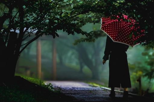 <素材>雨の森の中の公園を散歩する女性 <素材>雨の森の中の公園を散歩する女性 女性,雨,傘の写真素材