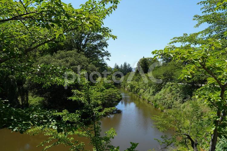 上田城址公園の風景　お堀 上田城,東虎口櫓門,櫓門の写真素材