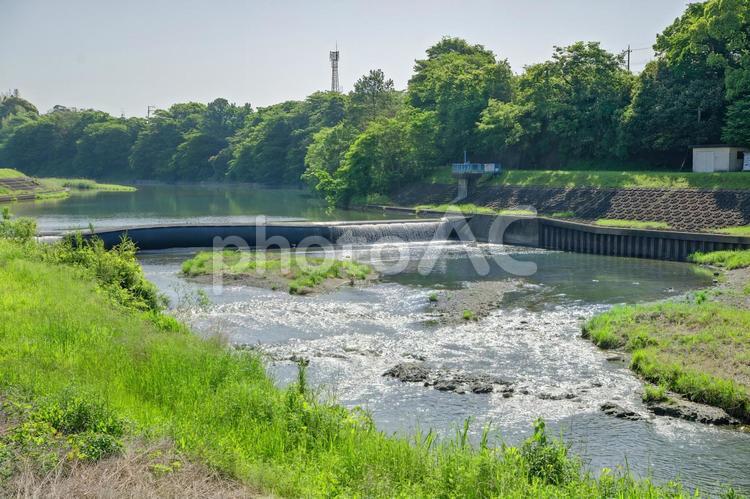 浜松市 井伊谷川と新清水堰（静岡） 井伊谷川,新清水堰,浜松市の写真素材