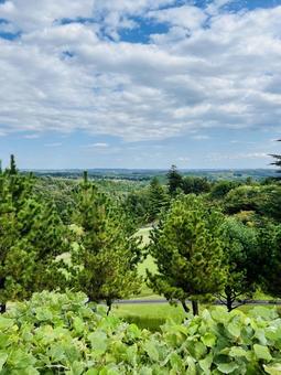 緑豊かな丘陵地のゴルフコース ゴルフ,武蔵の杜カントリークラブ,ゴルフ場の写真素材