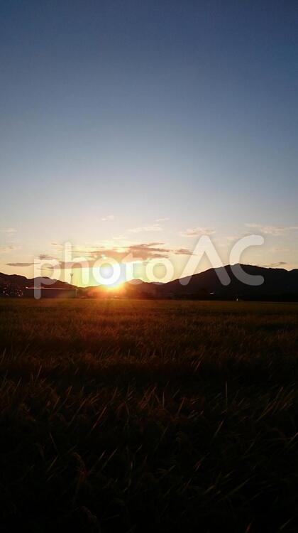 夕暮れ 夕暮れ,日暮れ,風景の写真素材
