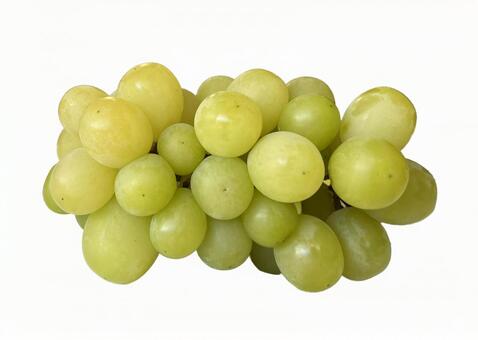 マスカサーティーン　 マスカサーティーン,マスカサーティン,白ブドウの写真素材