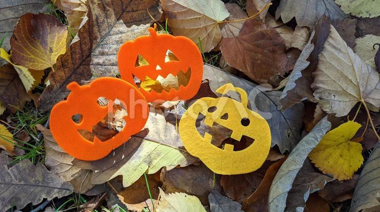 ハロウィン　落ち葉　枯れ葉　光 ハロウィン,秋,落ち葉の写真素材