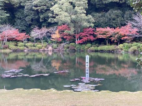 公園の池(海地獄) 公園の池(海地獄)の写真
