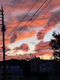夕焼け　冬 冬,夕焼け,夕焼け空の写真素材