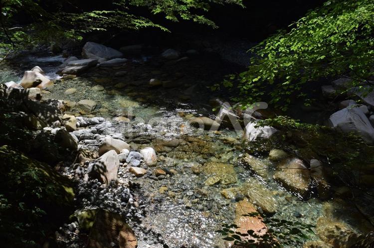 【長野】柿其渓谷の風景 柿其渓谷,エメラルドブルー,緑の写真素材