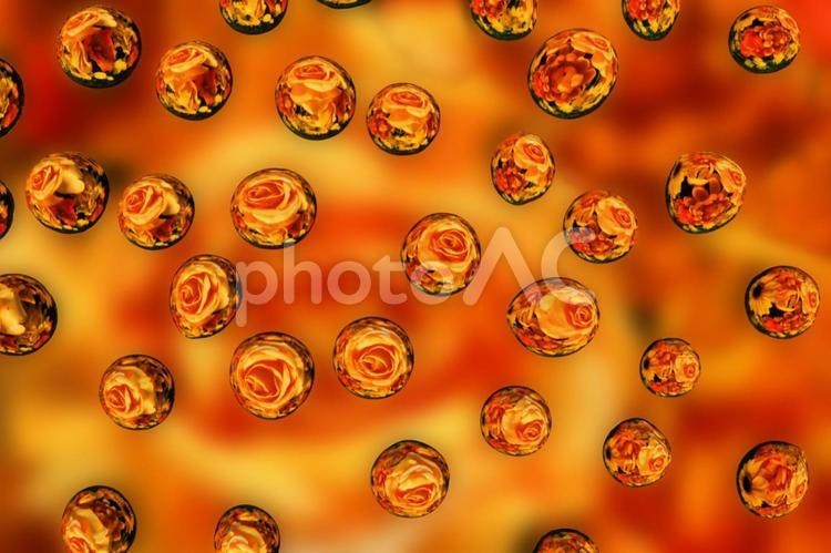 しずくの中の花 水滴,雫,しずくの写真素材