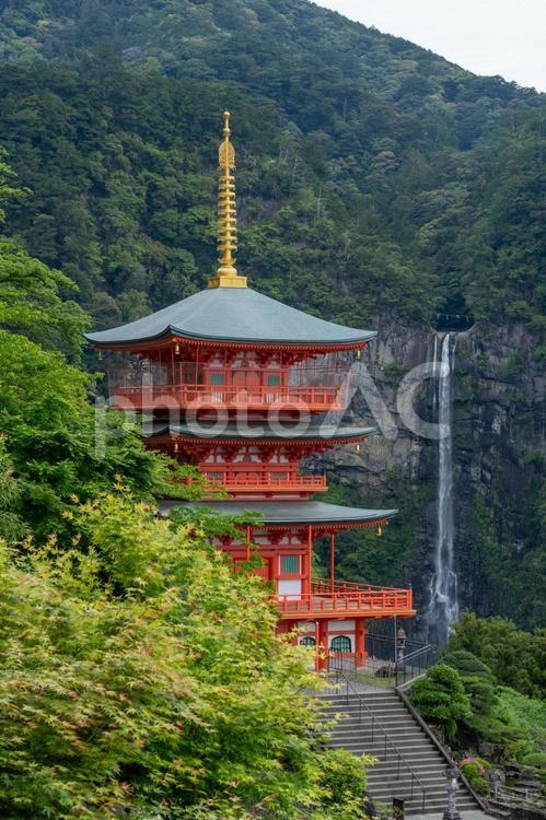 和歌山　青岸渡寺　三重塔と那智滝 飛瀧神社,青岸渡寺,三重塔の写真素材