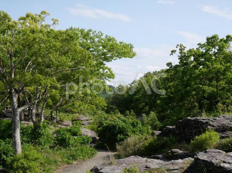 長瀞の岩畳の風景 自然,風景,岩場の写真素材