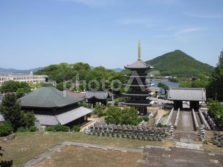 香川県-法然寺-境内 法然寺,寺,仏生山の写真素材