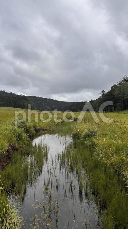 群馬県尾瀬の自然5 群馬県,尾瀬,尾瀬ヶ原の写真素材