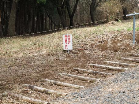 遊歩道 遊歩道の写真
