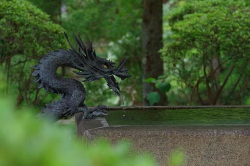 霊山寺 手水舎 龍 清め 霊山寺 手水舎 龍 清めの写真