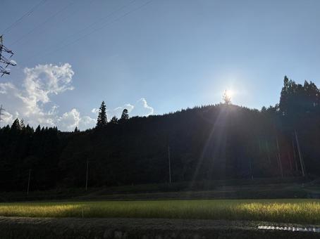 稲が育った田んぼと風景 稲が育った田んぼと風景の写真