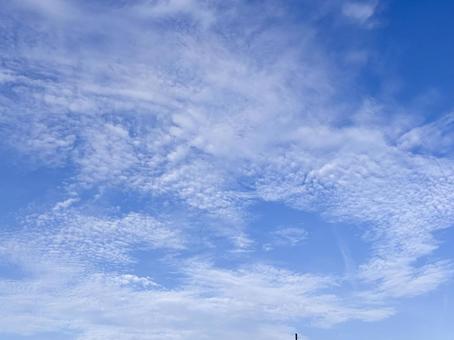 【空の写真】秋空 【空の写真】秋空 秋空,空,雲の写真素材