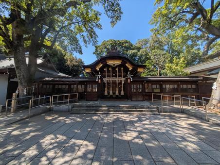 護王神社 護王神社 護王神社,風景,京都の写真素材