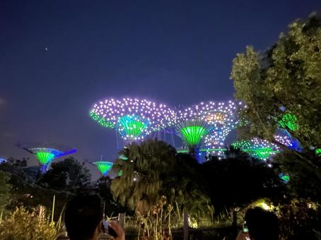 シンガポール ガーデンズバイザベイ シンガポール ガーデンズバイザベイの写真