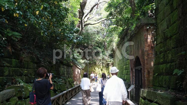 横須賀　無人島・猿島 猿島,横須賀,無人島の写真素材