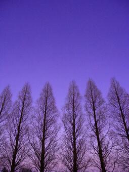 Twilight twilight, sky, takagi, a row, JPG