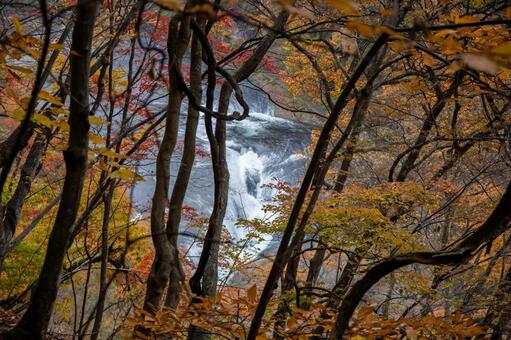 秋の山 秋,滝,沼田の写真素材