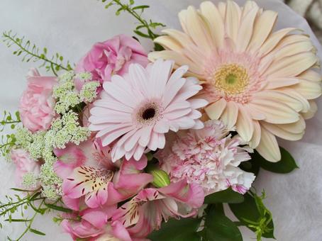 ピンク色のガーベラとバラの花束 花,ガーベラ,バラの写真素材