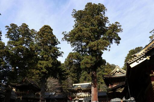 日光東照宮 日光,日光東照宮,東照宮の写真素材