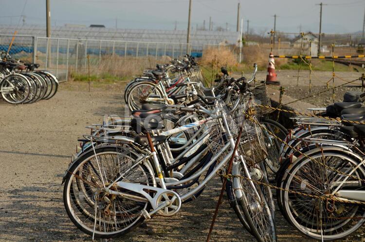 自転車置き場 自転車置き場,駐輪場,自転車の写真素材