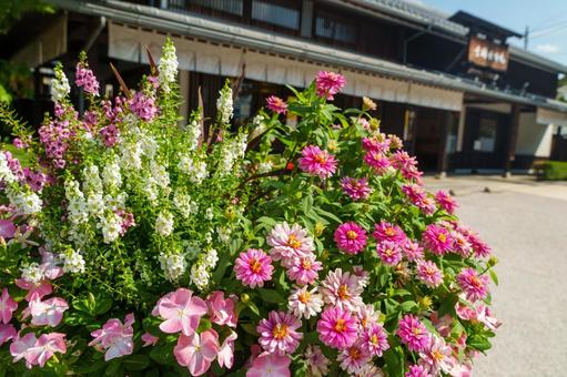 小布施の店舗前の花壇 小布施の店舗前の花壇の写真