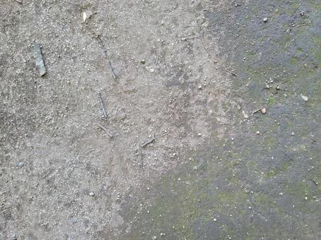 地面 苔 壁紙 テクスチャ 地面 苔 壁紙 テクスチャの写真