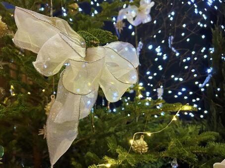 クリスマスのオーナメント クリスマス飾り,オーナメント,光の写真素材