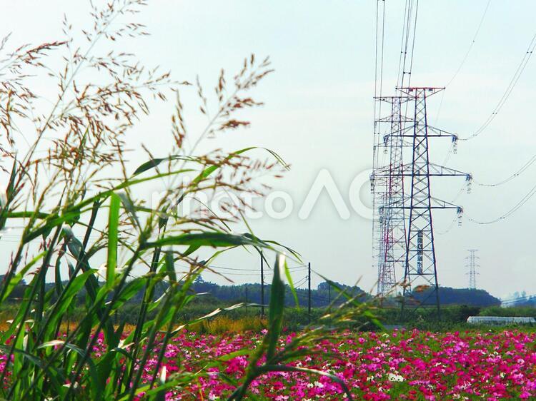 鉄塔がある風景 鉄塔,送電線,電線の写真素材