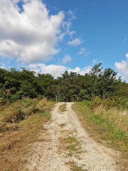 青空と坂道 青空と坂道の写真
