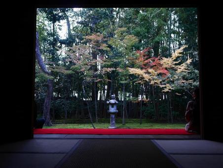 額縁の中の高桐院の庭 額縁の中の高桐院の庭の写真
