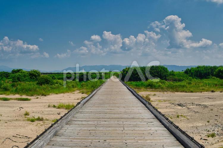 流れ橋 橋,流れ橋,流橋の写真素材