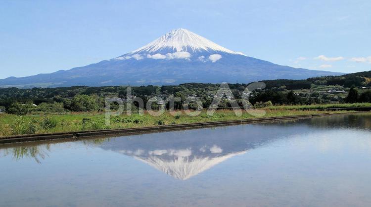 五月の芝川柚野の里　田んぼに逆さ富士 富士山,初夏,新緑の写真素材