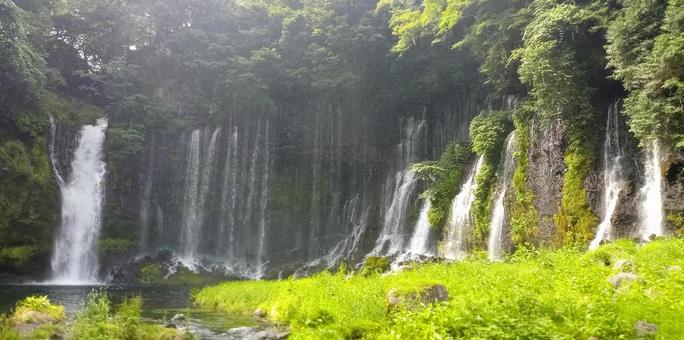 白糸の滝 富士宮 白糸の滝 富士宮 白糸の滝,世界遺産,天然記念物の写真素材