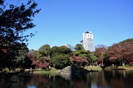 小石川後楽園の風景 小石川後楽園の風景 小石川後楽園,東京都,紅葉の写真素材