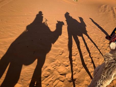 サハラ砂漠をラクダで移動 サハラ砂漠,サハラ,ラクダの写真素材