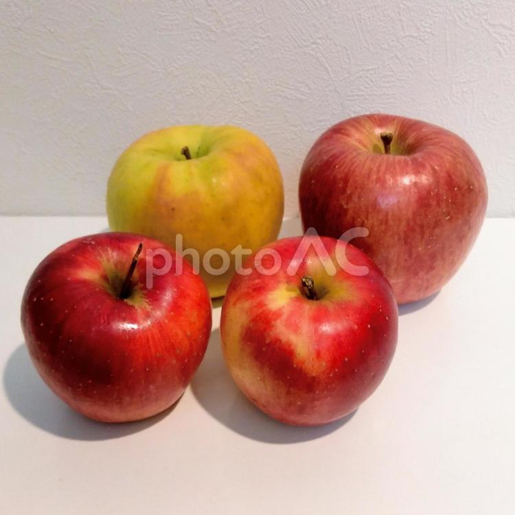 品種の異なる4個のリンゴ 品種の異なる4個のリンゴ,果物,フルーツの写真素材